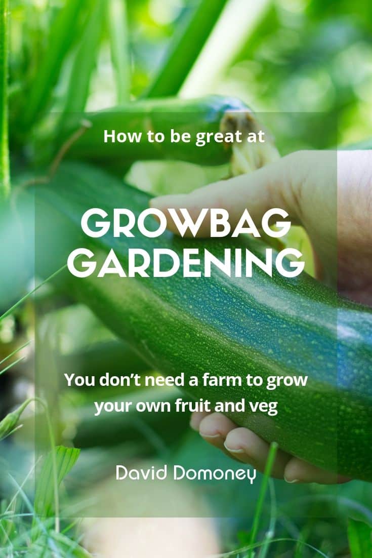 growbag gardening