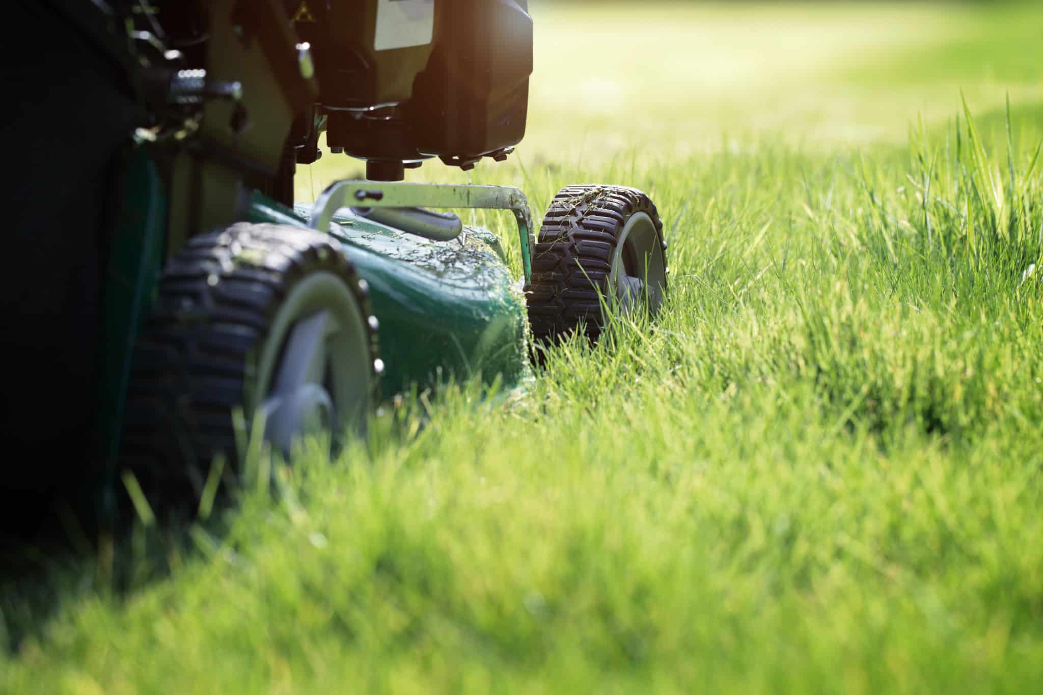 Lawn-and-rake