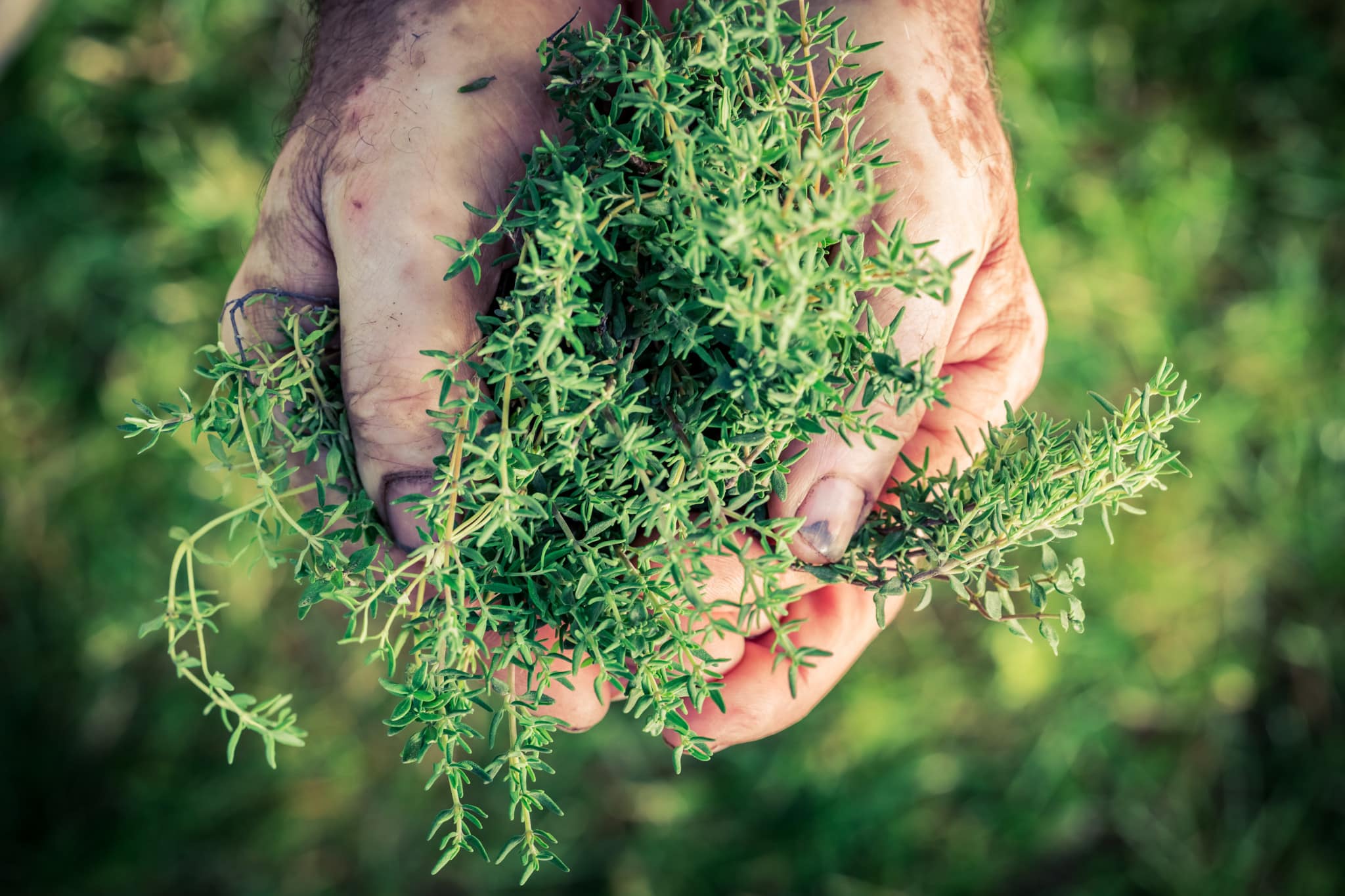 Weeding-lawn