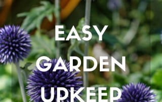 Easy Garden Upkeep