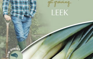 growing leeks
