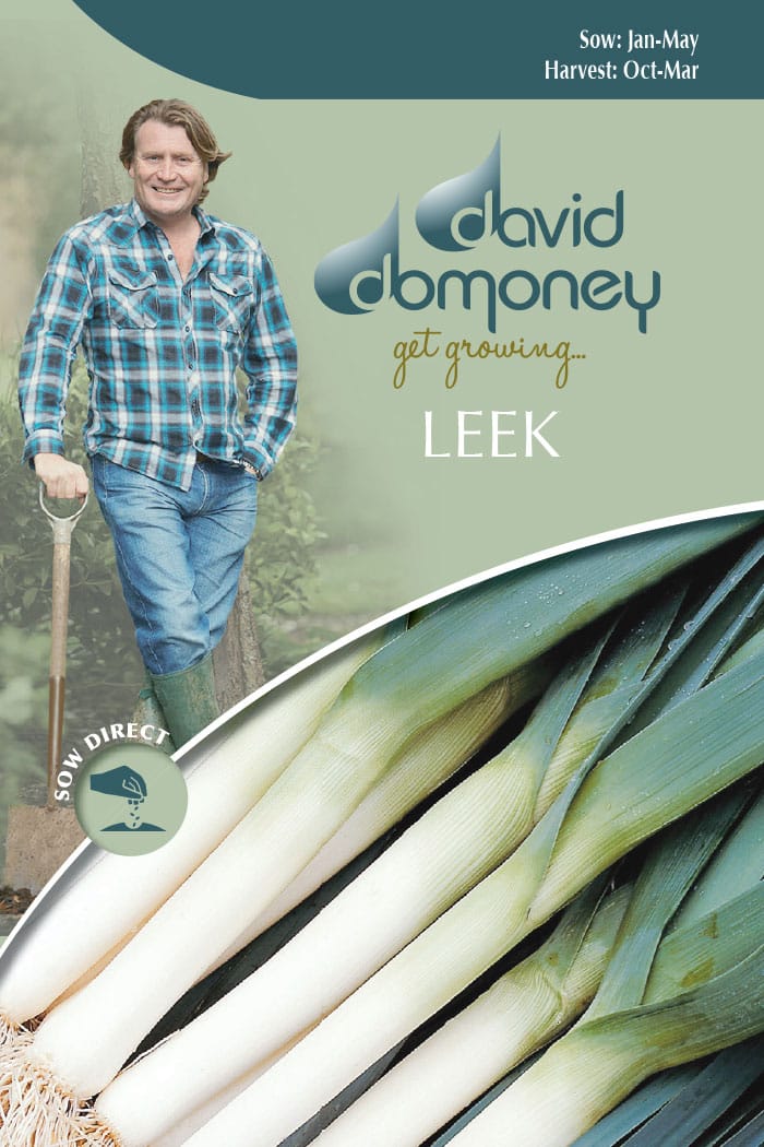 growing leeks