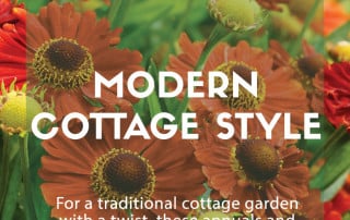 modern cottage garden