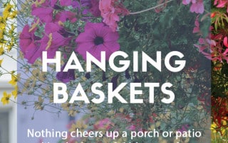 Perfect hanging baskets