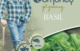 get growing basil