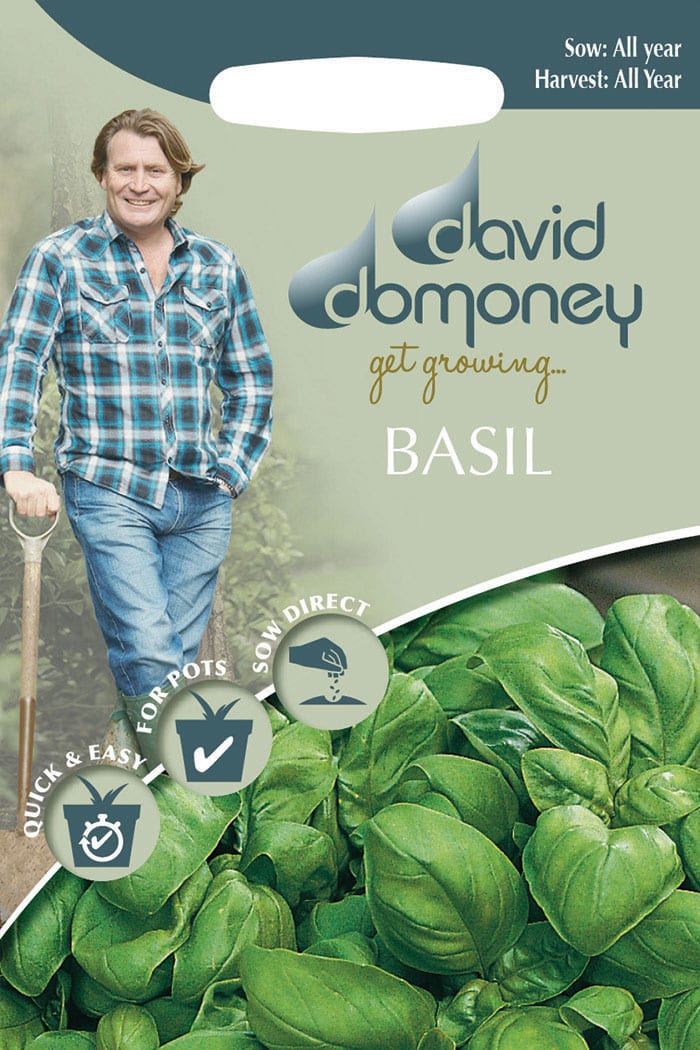 get growing basil