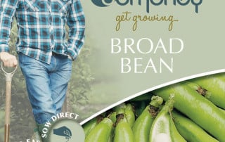 get growing broad bean