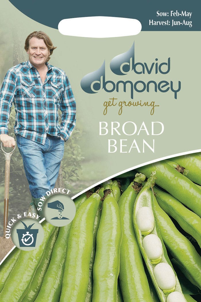 get growing broad bean