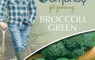 get growing broccoli green