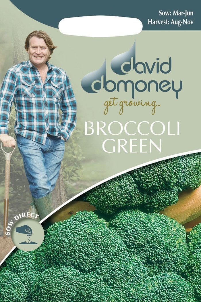 get growing broccoli green