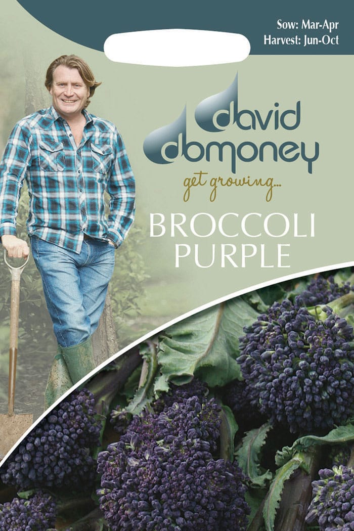 get growing broccoli purple