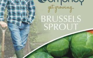 get growing brussels