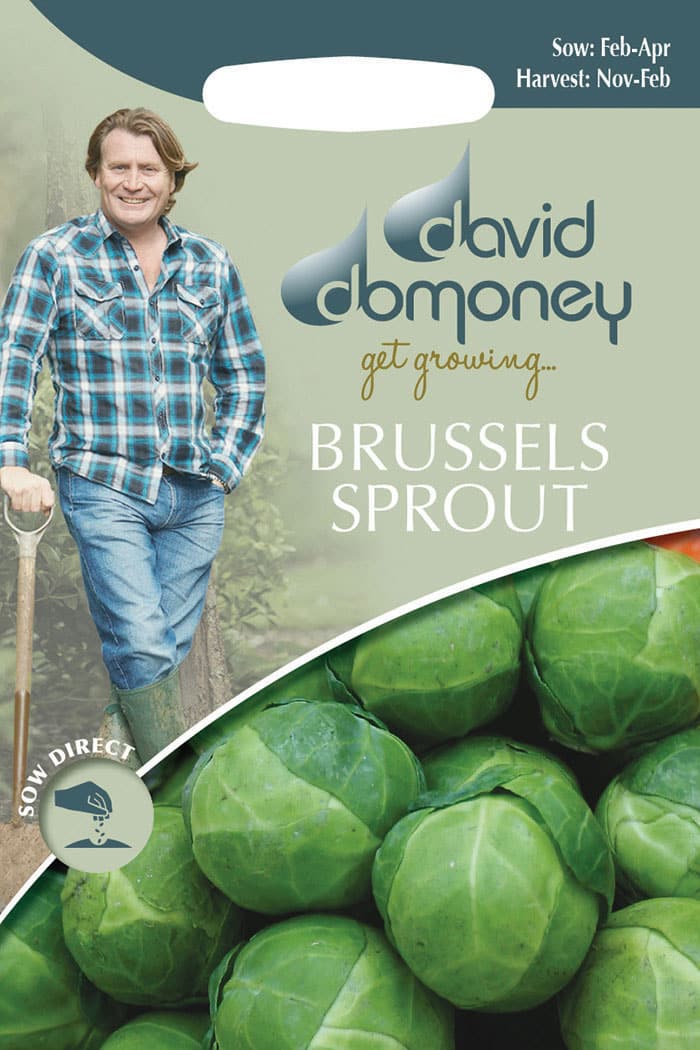 get growing brussels