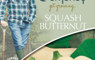 get growing butternut squash