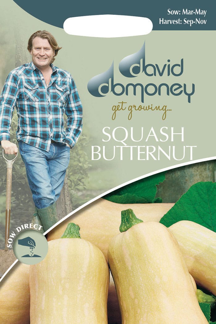 get growing butternut squash