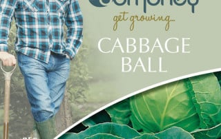 get growing cabbage ball