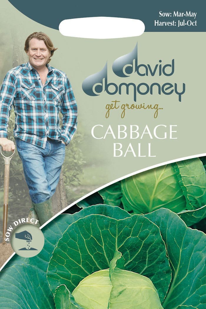 get growing cabbage ball