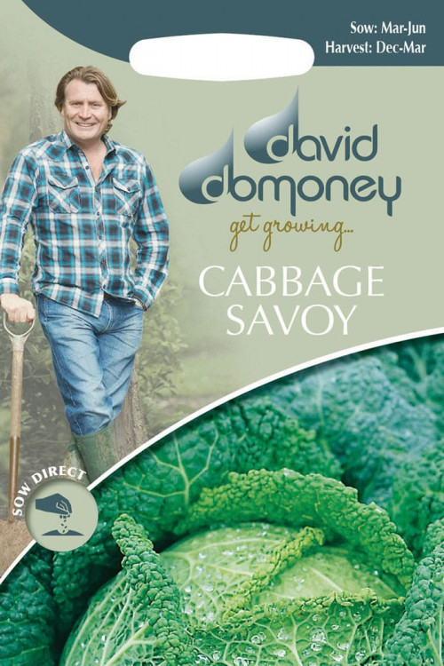 get growing cabbage savoy
