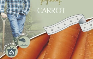 carrot seed tape