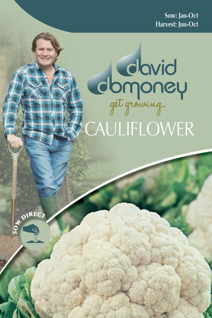 get growing cauliflower