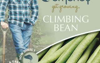 get growing climbing bean