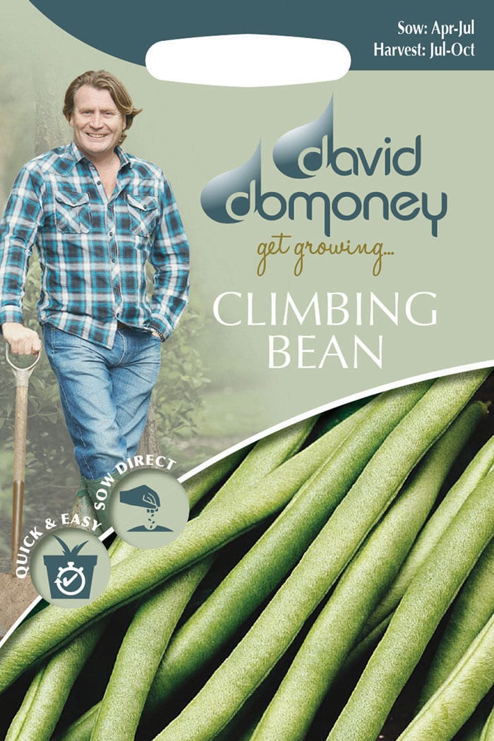 get growing climbing bean