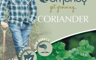 get growing coriander