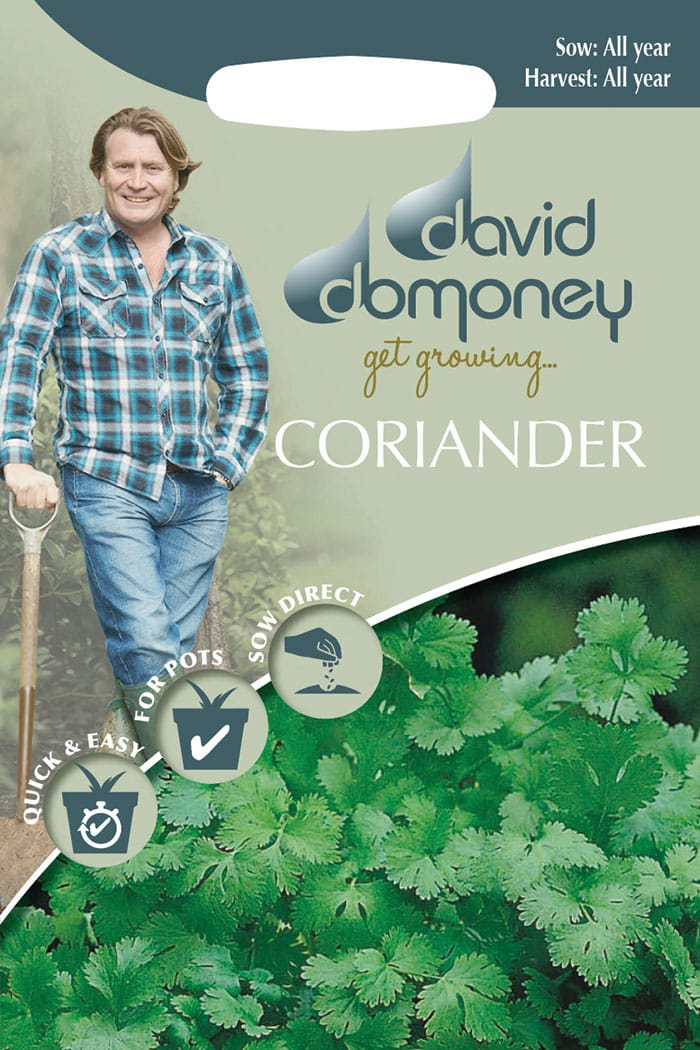 get growing coriander