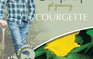 get growing courgette
