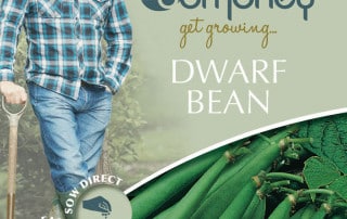 get growing dwarf bean