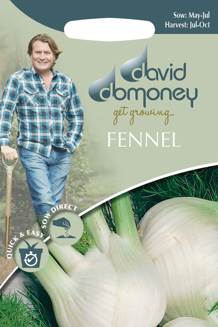 get growing fennel