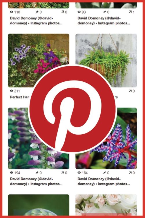 Pinterest flower power