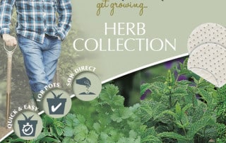 herb collection mats