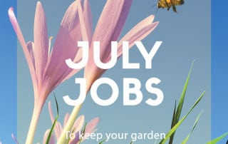 july jobs