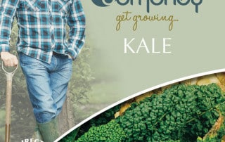 get growing kale