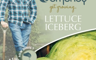 iceberg lettuce