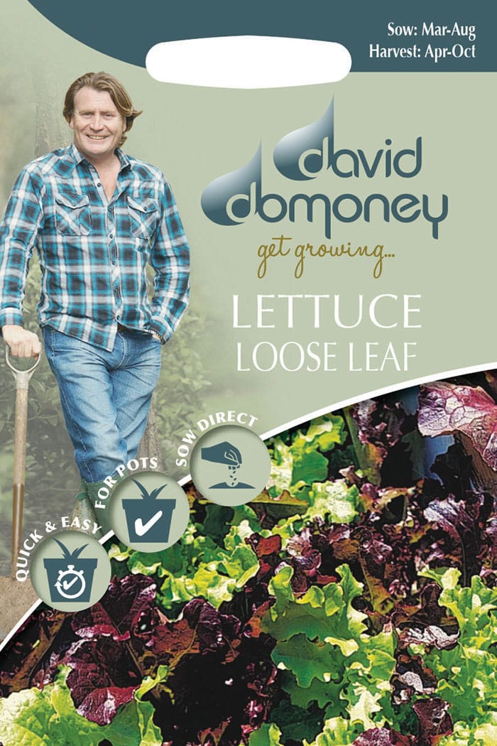 lettuce loose leaf
