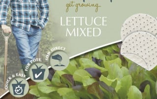 lettuce mixed mats