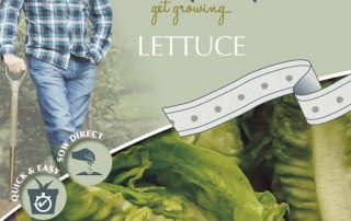 lettuce tape