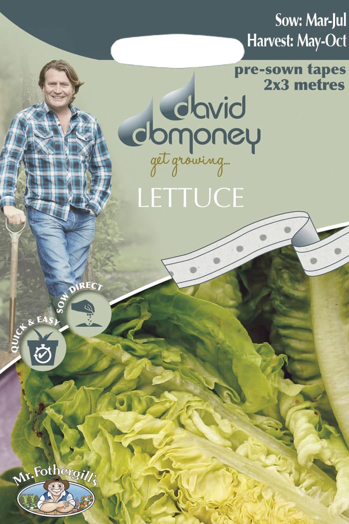 lettuce tape