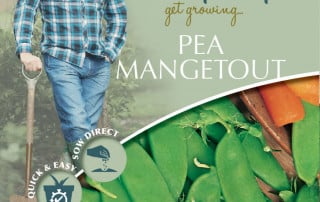 get growing pea mangetout