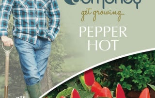 get growing pepper hot