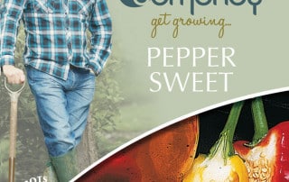 sweet pepper