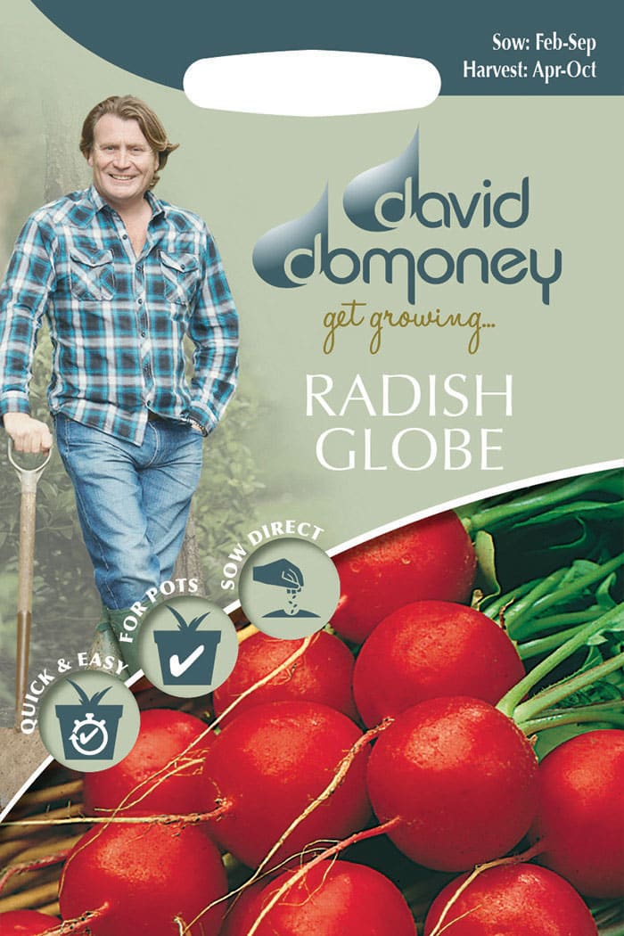 get growing radish globe