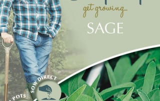 get growing sage