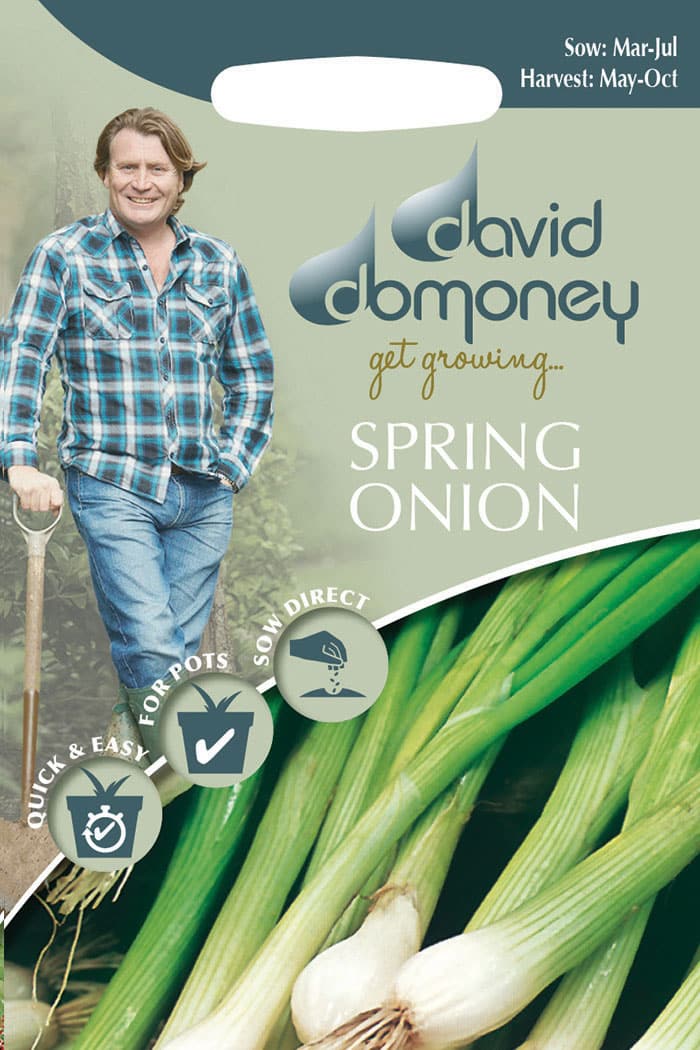 get growing spring onion