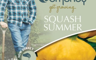 get growing squash summer