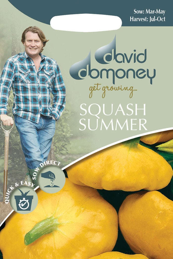 get growing squash summer