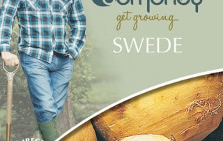 get growing swede