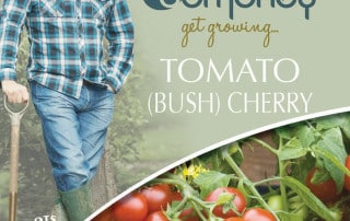 get growing tomato bush
